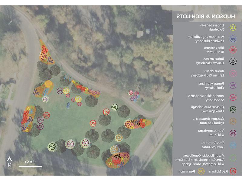 Satellite map showing Hudson and 丰富的 lots showing different types of plants